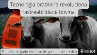 Imagem principal do artigo Rastreabilidade bovina transforma gado em ativo de garantia de crédito